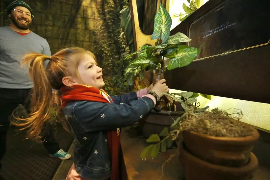 Aktualnie czytasz: HARRY POTTER: THE EXHIBITION JUŻ WKRÓTCE W POLSCE