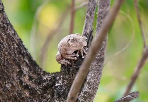 Dzień Ziemi w Discovery Channel!