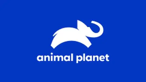 Animal Planet