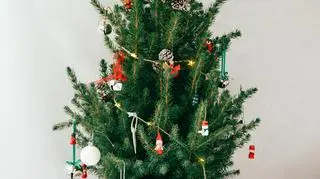 choinka w doniczce3.jpg