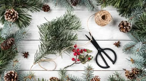 Choinka z szyszek na pniu – jak zrobić? Instrukcja krok po kroku