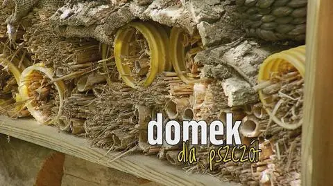 Domek dla pszczół DIY