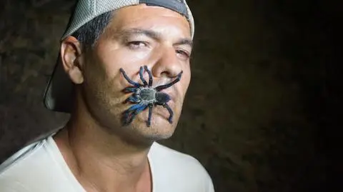 Dziki Frank w Indiach