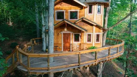 Faceci z domku na drzewie