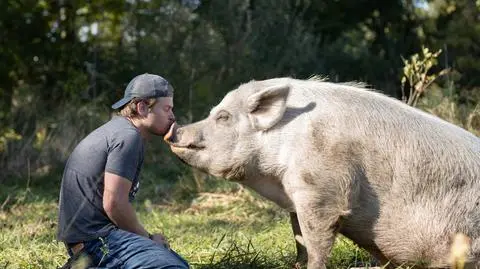 Farma pełna miłości