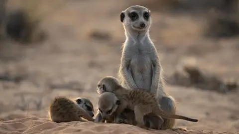 Zobacz, co obejrzeć w grudniu na Discovery Channel!