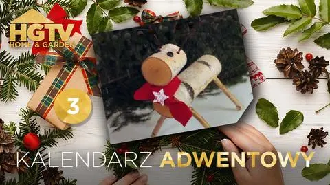 Brzozowy renifer Doroty Szelągowskiej. Zrób to sam na święta!