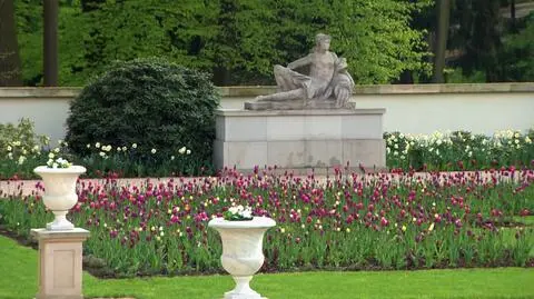 Kulisy powstania ogrodu holenderskiego w Łazienkach