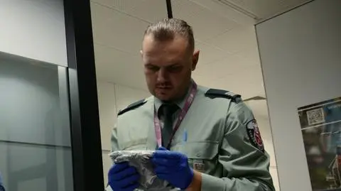 Na gorącym uczynku! Najciekawsze znaleziska celników z "Lotniska"