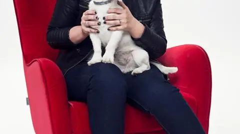 DZIENNIKARKI TVN STYLE