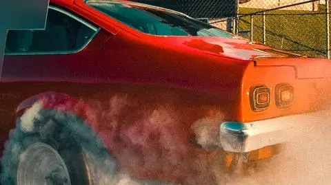 Programy Discovery w VOD player.pl