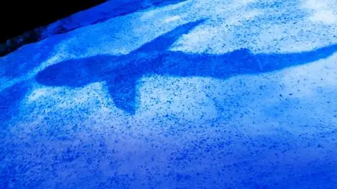 Na tropie zaginionych rekinów | SHARK WEEK 2019