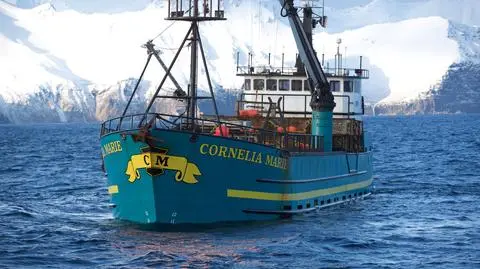 Najniebezpieczniejszy zawód świata 14