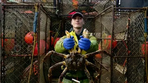 Nowy sezon NAJNIEBEZPIECZNIEJSZY ZAWÓD ŚWIATA w Discovery