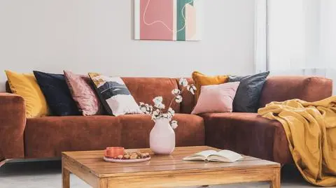 Narożnik do salonu z funkcją spania – jaki wybrać?