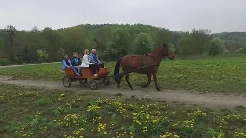 Niezwykłe atrakcje ogrodu w Bochotnicy