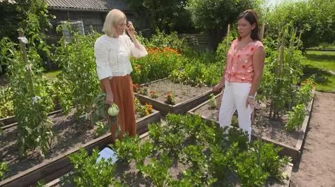 Nowa Maja w ogrodzie: Jak pielęgnować warzywa?