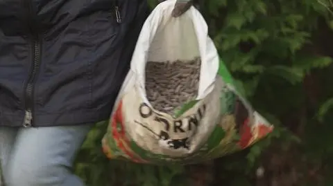 Nowa Maja w ogrodzie: Naturalne preparaty do nawożenia roślin