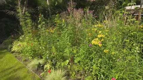 Nowa Maja w ogrodzie: Niesamowite rabaty w ogrodzie!