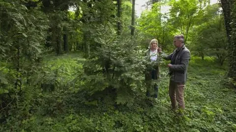 Nowa Maja w ogrodzie: Niesamowite rośliny i ciekawostki!