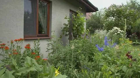 "Nowa Maja w Ogrodzie": niesamowity ogród pani Miry nie daje się zmianom klimatycznym