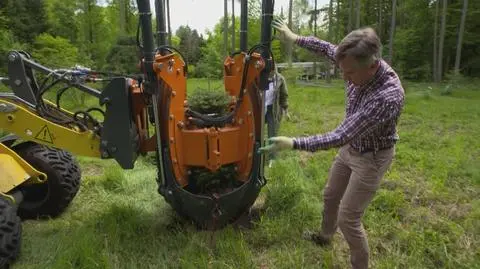 Nowa Maja w ogrodzie: Przesadzanie roślin