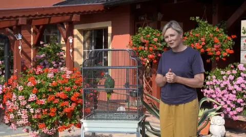 "Nowa Maja w ogrodzie": ruchliwą drogę w Wielkopolsce od południa Europy dzieli tylko brama