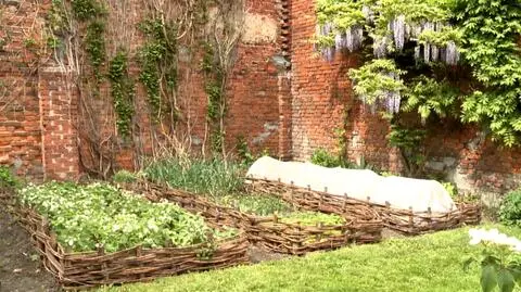 "Nowa Maja w ogrodzie": ten warzywnik zapewnia nie tylko produkty, ale i piękne widoki!