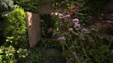 "Nowa Maja w ogrodzie": wspólny ogród dwóch rodzin