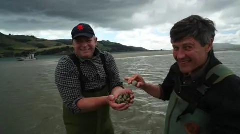 NOWA ZELANDIA NA TALERZU