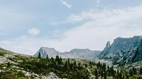 Nowe życie na Syberii