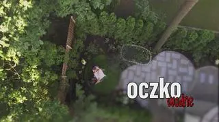 Jeśli masz problem ze znalezieniem gotowego oczka wodnego, które odpowiadałoby Ci wielkością lub kształtem, mamy rozwiązanie dla Ciebie. W jednym z odcinków "Polowania na ogród" Dominik Strzelec pokazał krok po kroku, jak je zrobić. W ten sposób mógł sam zaplanować głębokość zbiornika i rozmieszczenie półek, na których mają być umieszczone rośliny. Wykopany i uformowany dół został wyłożony geowłókniną i folią. Zbiornik otoczył wieniec z kostki granitowej, a na dno wysypano żwir. Dopiero wtedy można było zasadzić w nim rośliny, w tym wypadku: tatarak i pałkę szerokolistną, a na wyższych półkach grzybienie, czyli lilie wodne. Do zbiornika została również doprowadzona pompa, która napowietrza wodę. Zobacz, jak wykonać samodzielnie takie oczko wodne!