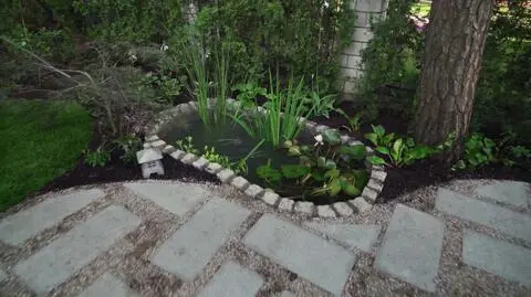 Jak zrobić oczko wodne? Instrukcja krok po kroku