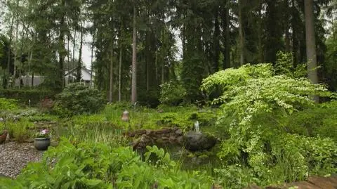 Ogród pod Warszawą jak podgórski las