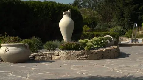 Ogród w stylu śródziemnomorskim: rośliny, barwy, rodzaje