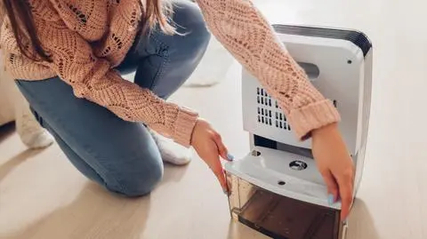 Osuszacz powietrza – Najlepsze pochłaniacze wilgoci do domu