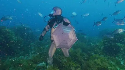 Oszukać zmysły rekina | SHARK WEEK 2019