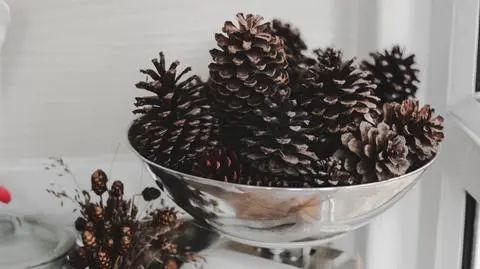 Ozdoby z szyszek do domu i ogrodu – jak zrobić? Instrukcja krok po kroku