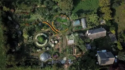 Permakultura to nie tylko sposób uprawy, ale filozofia życia