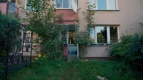 Polowanie na ogród: Dominik Strzelec spróbuje utemperować przydomową dżunglę