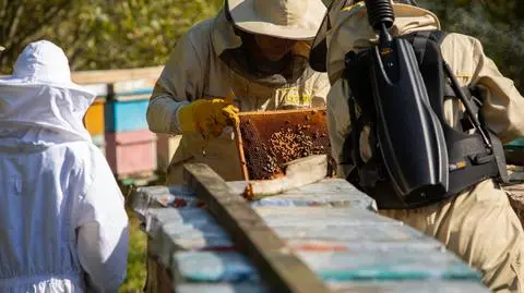 Polska na patelni odc. 5