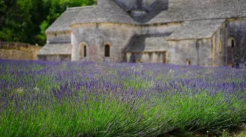 Styl prowansalski. Jak uzyskać urok południowej Francji we wnętrzu?