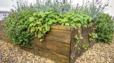 Podgrzewana rabata - czym jest i jak ją stworzyć?