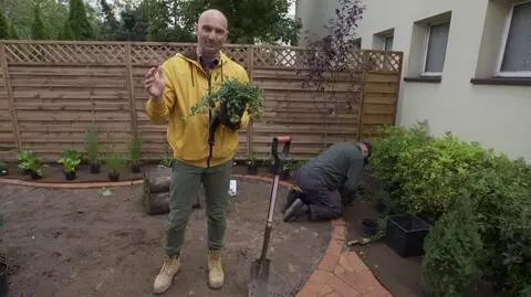 Rośliny, które sprawdzą się w zacienionych miejscach