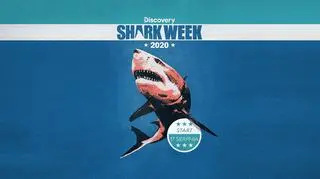 SHARK WEEK 2020