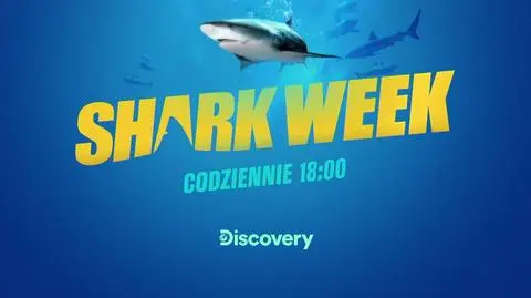 Rozpoczyna się Shark Week.