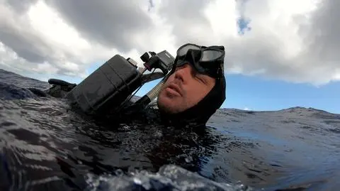 Skazani na pożarcie 2 | SHARK WEEK 2019