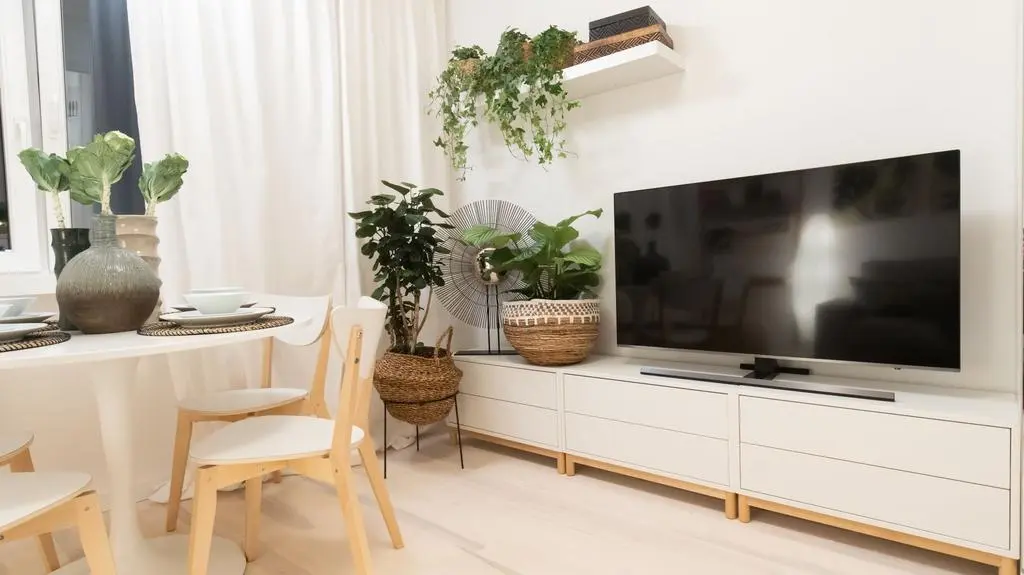 W sześciu szufladach w długiej szafce multimedialnej wiele się zmieści, a na niej znalazło się miejsce na telewizor i rośliny.