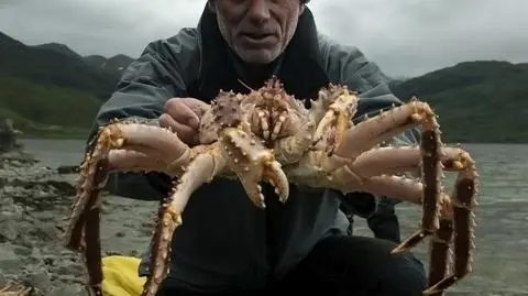 Tajemnice mrocznych wód