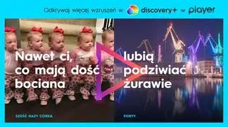 TLC dostępne online w discovery+